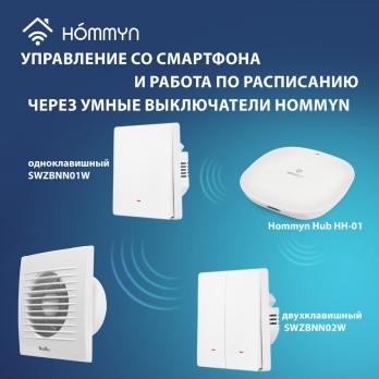 Вентилятор вытяжной Ballu BAF-FW 150 N с антимоскитной сеткой — общий вид