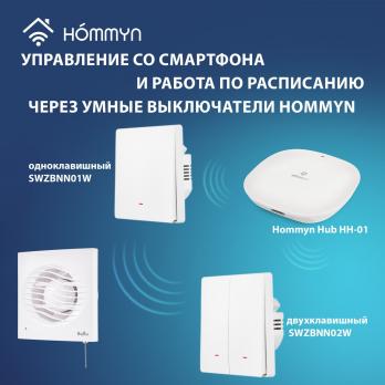 Вентилятор вытяжной Ballu BAF-AR 120 VP с обратным клапаном и тяговым выключателем — общий вид