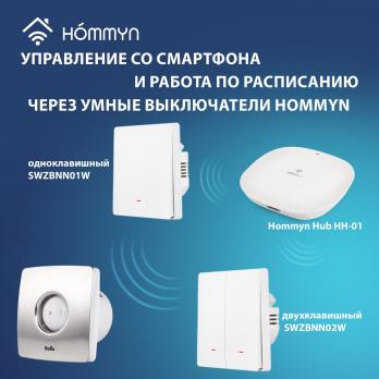 Вентилятор вытяжной Ballu BAFS-100 — общий вид