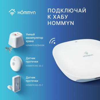 Блок управления (шлюз) HOMMYN Hub HH-01 — общий вид